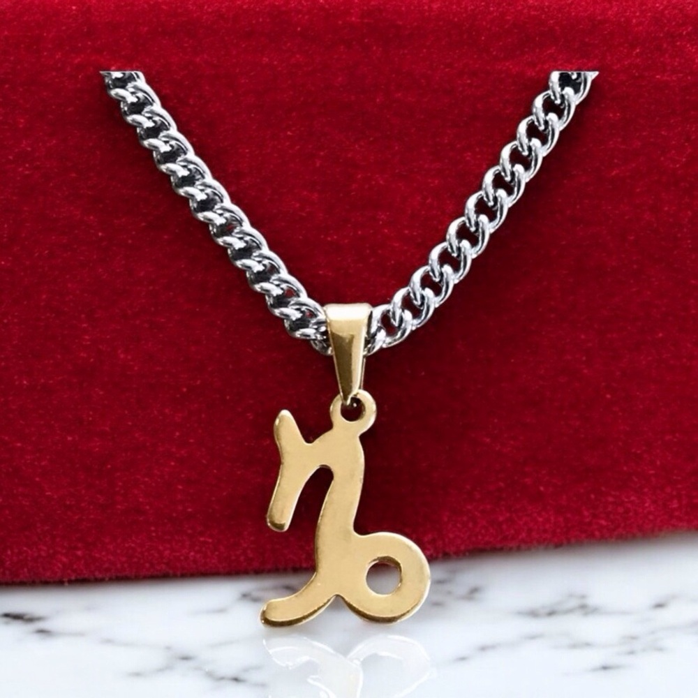 š Capricorn Zodiac Pendant Necklace Stainless Steel